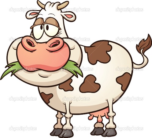 cow